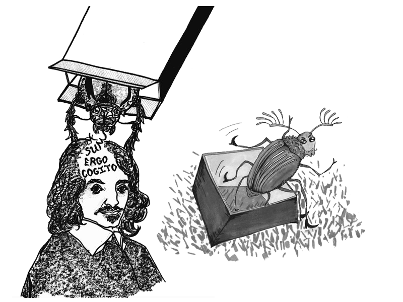 Художники: Екатерина Майорова (жук есть голову Декарта, слева), Линда Федотенко (справа, жук в коробке) Екатерина Майорова (жук есть голову Декарта, слева), Линда Федотенко (справа, жук в коробке)